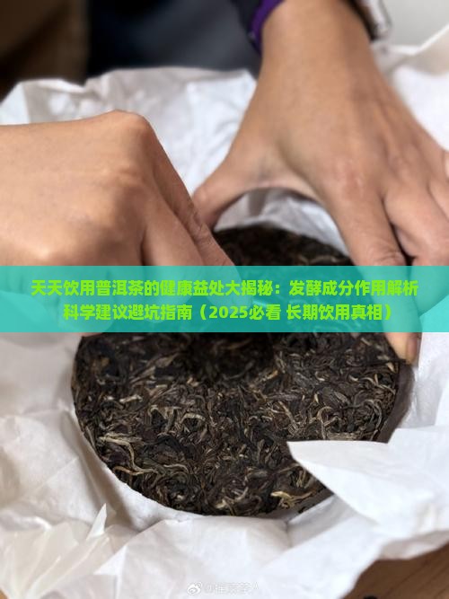 天天喝熟普洱茶的功效