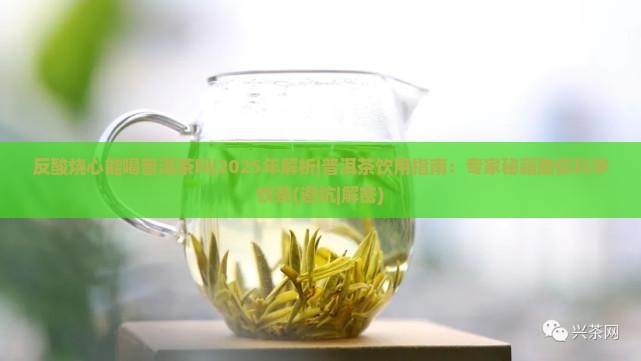 反酸烧心能喝普洱茶吗
