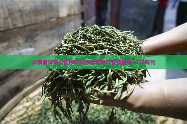 云南普洱茶小程序开发 云南普洱茶小程序开发