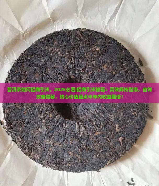 普洱茶如何招商引资