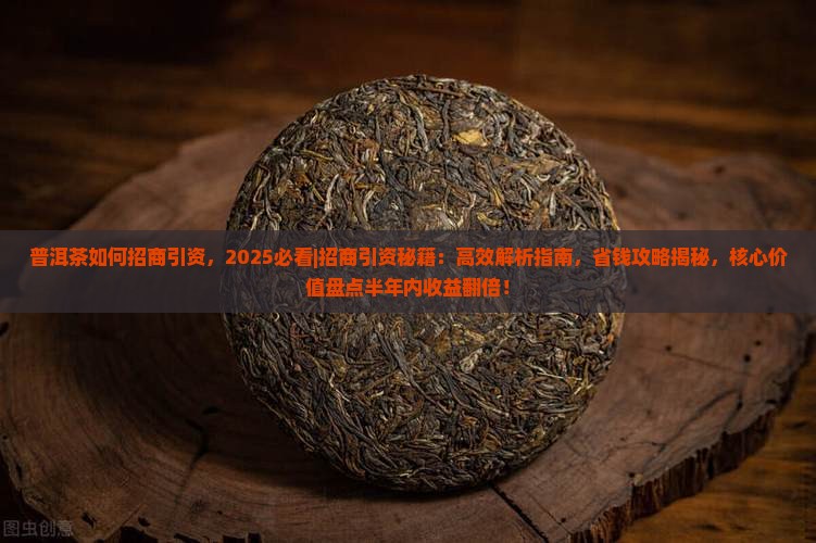 普洱茶如何招商引资