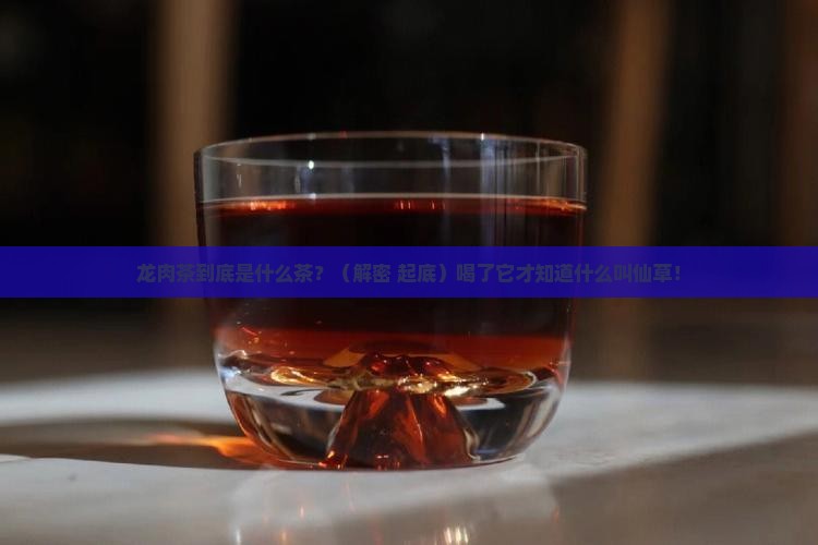 龙肉茶是什么茶