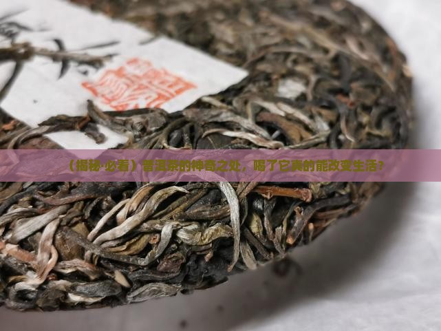 普洱茶对人有何好处