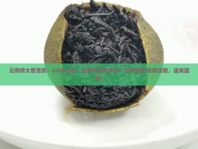 云南师大普洱茶 云南师大普洱茶