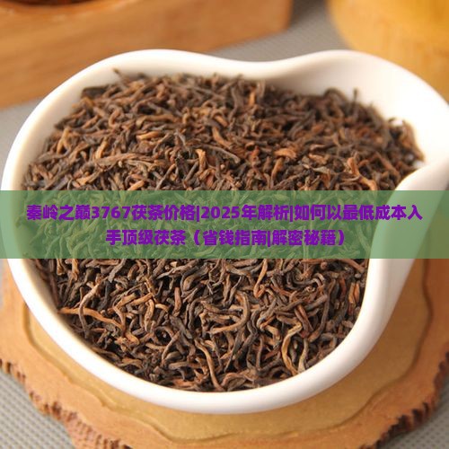 秦岭之巅3767茯茶价格