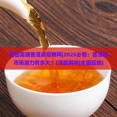 莆田高端普洱茶招商网