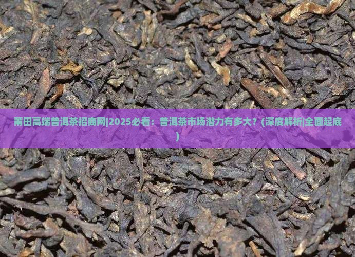 莆田高端普洱茶招商网