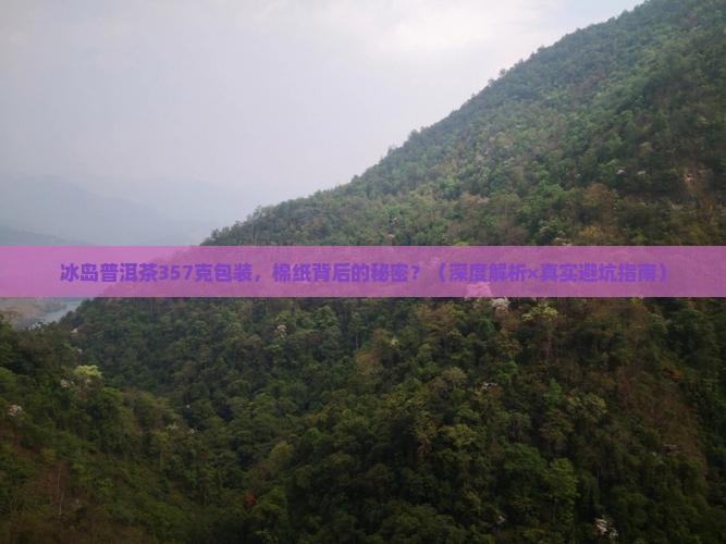 357克冰岛普洱茶包装棉纸