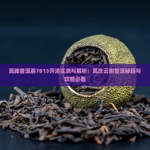 凤牌普洱茶7813开汤