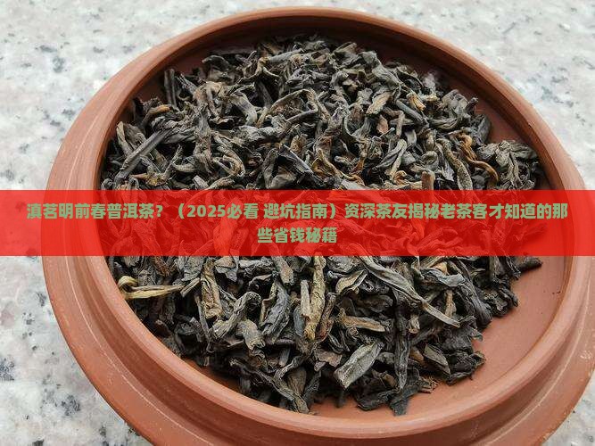 滇茗明前春普洱茶