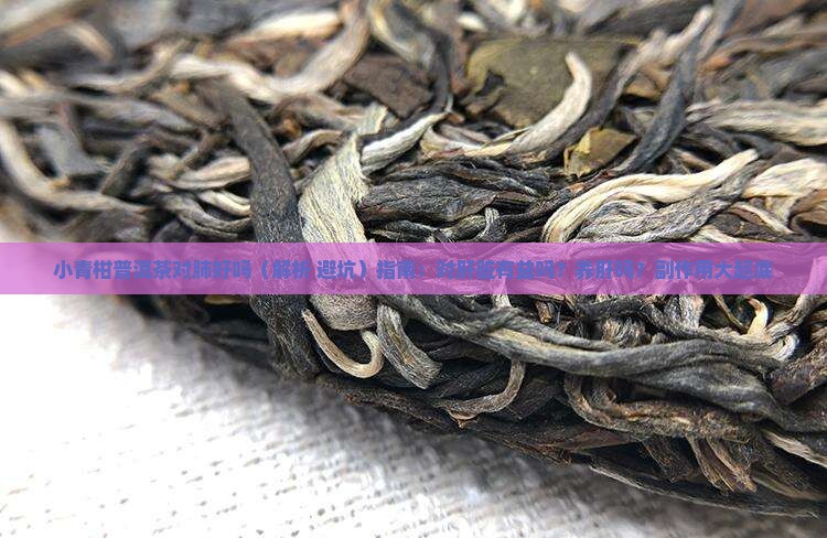 小青柑普洱茶对肺好吗