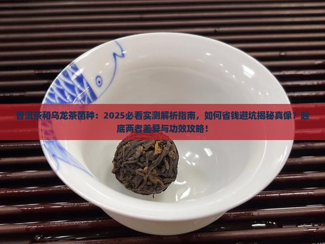 普洱茶和乌龙茶菌种