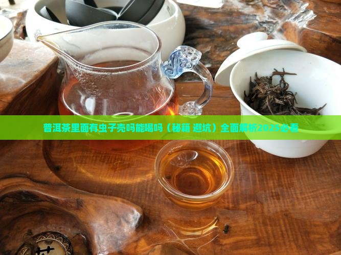 普洱茶里面有虫子壳吗能喝吗