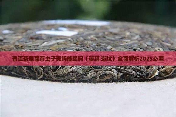 普洱茶里面有虫子壳吗能喝吗