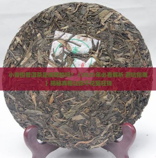 小青柑普洱茶是减肥的吗