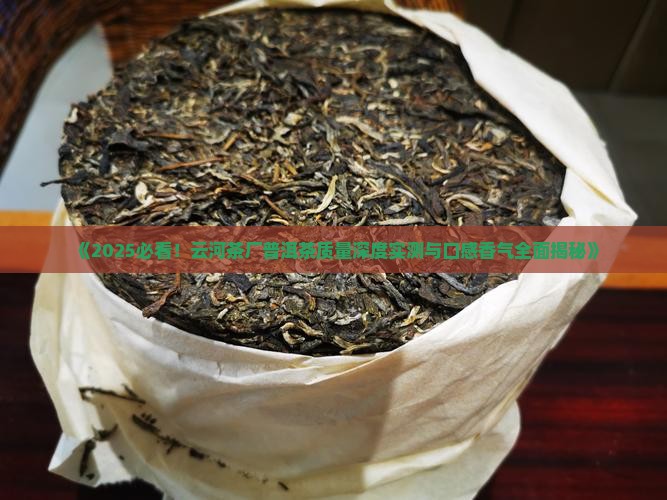 云河茶厂怎么样