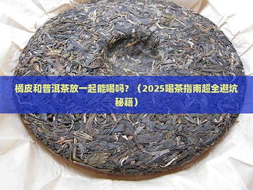 橘皮和普洱茶放一起