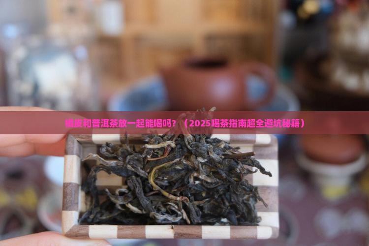 橘皮和普洱茶放一起