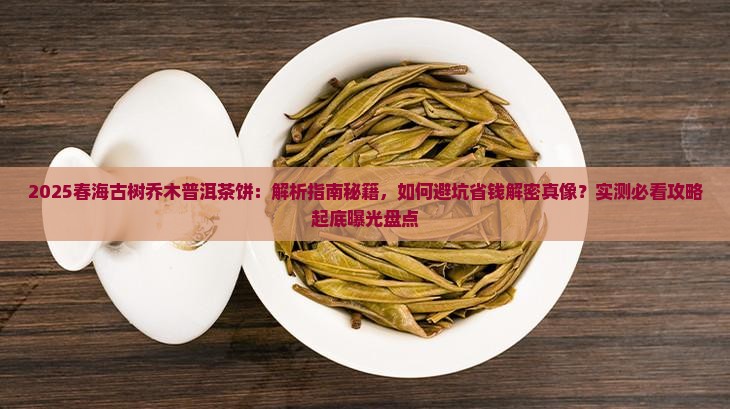 春海古树乔木普洱茶饼