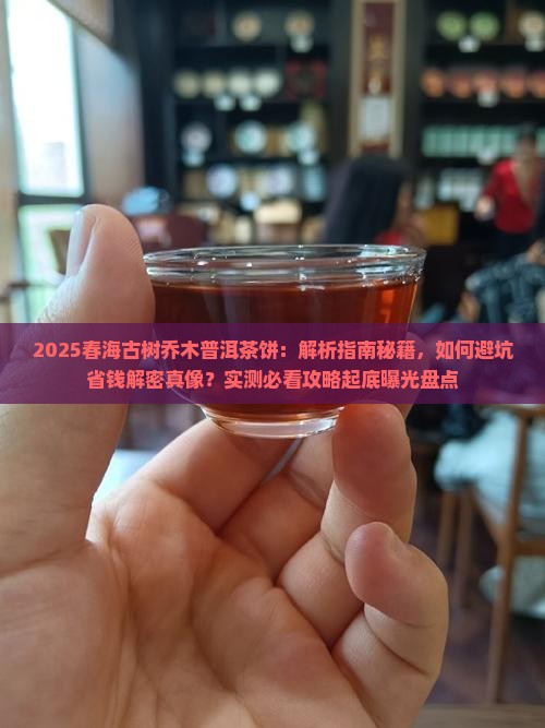 春海古树乔木普洱茶饼