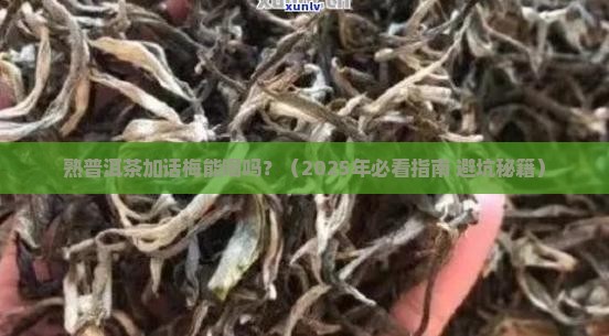 熟普洱茶加话梅能喝吗百度百科