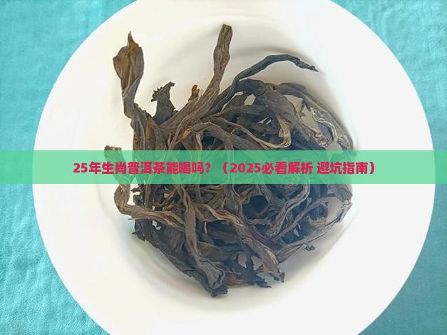 25年生肖普洱茶能喝吗