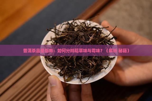 普洱茶稻草发霉的味道