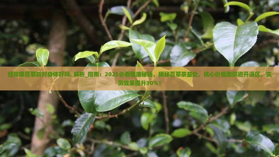经常喝百草茶对身体好吗 经常喝百草茶对身体好吗