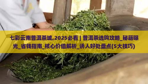 七彩云南普洱茶城