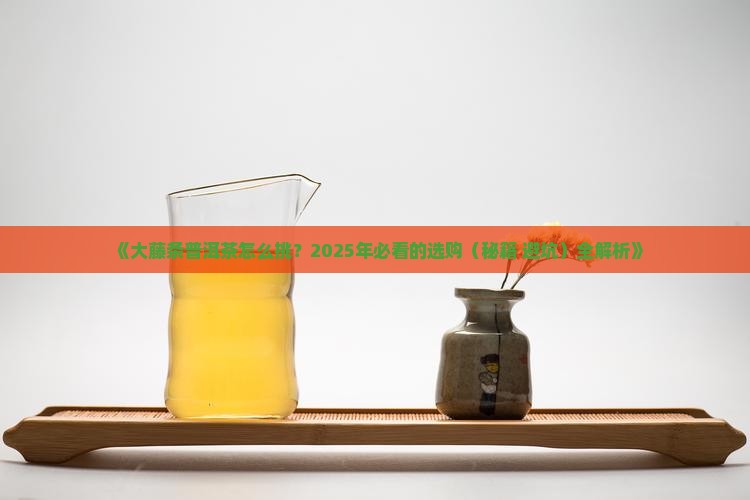 大藤条普洱茶百科