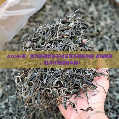 普洱茶易武茶王树普洱茶