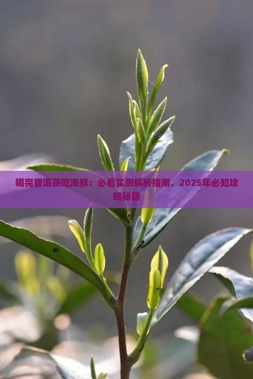 喝完普洱茶吃海鲜