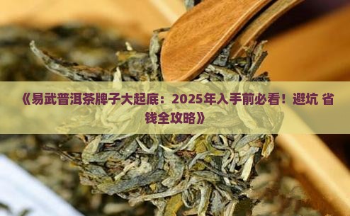 易武普洱茶牌子 易武普洱茶牌子