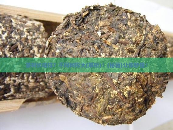 茶树分为哪几种树形