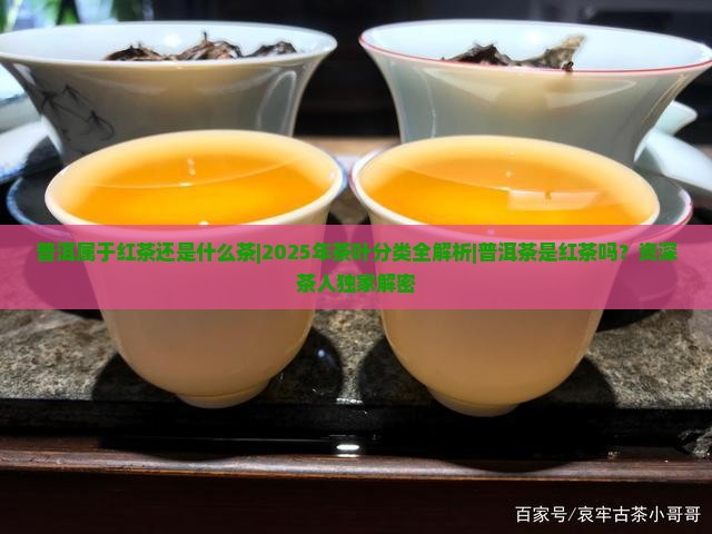 普洱属于红茶还是什么茶