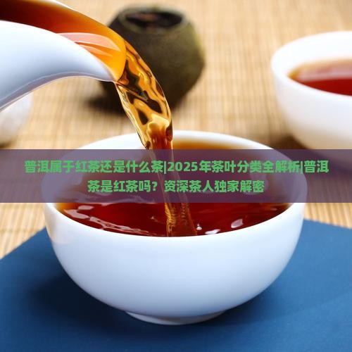 普洱属于红茶还是什么茶