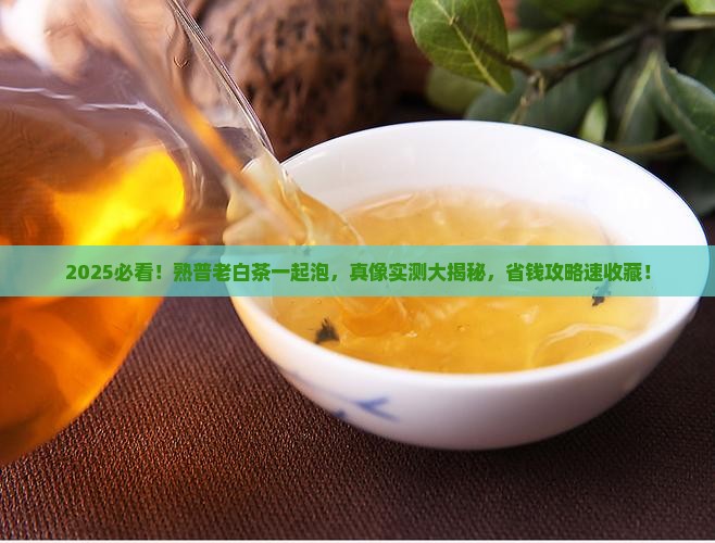 熟普老白茶一起泡