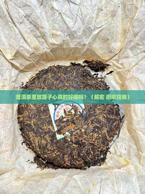 普洱茶加点莲子心可以吗