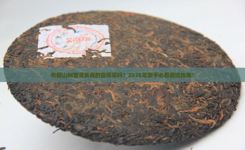 布朗山树普洱茶
