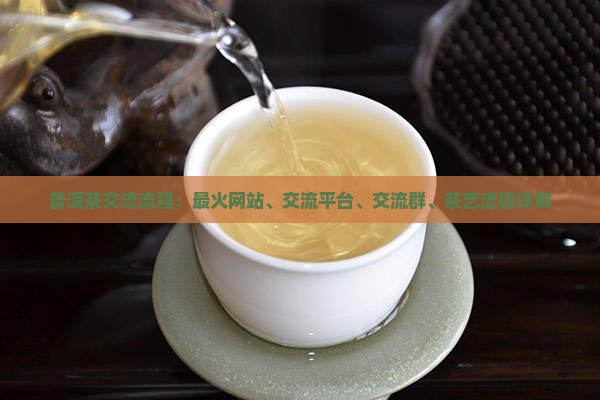 普洱茶交流流程