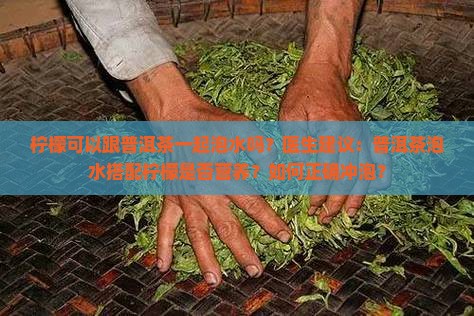 柠檬可以跟普洱茶一起泡水吗