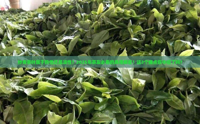 炒青茶叶属于热性还是凉性