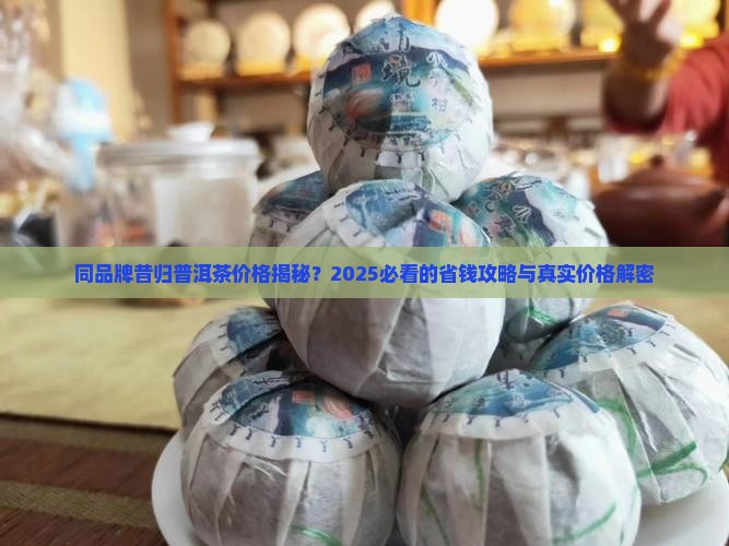 同品牌昔归普洱茶价格