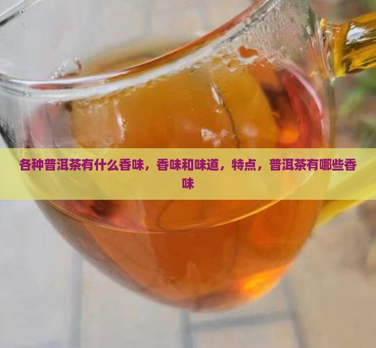 各种普洱茶有什么香味