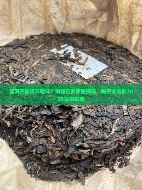 普洱茶的初始形态是什么样的