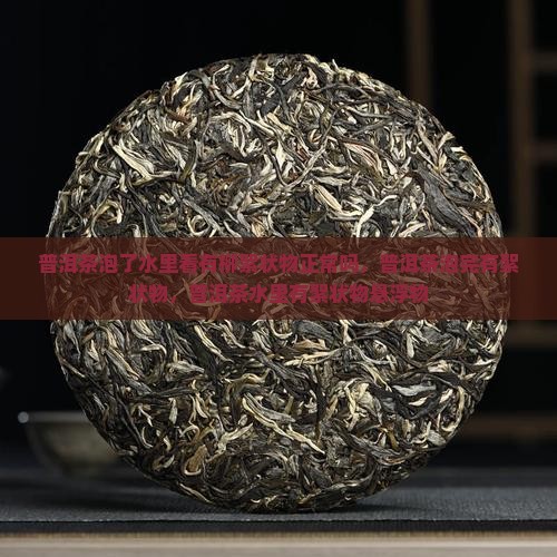 普洱茶泡了水里看有柳絮状