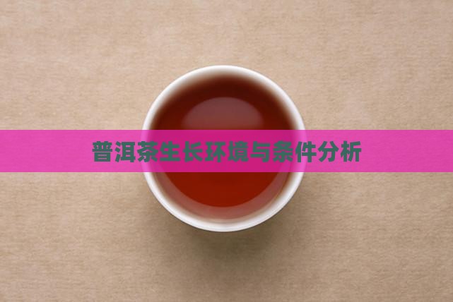 普洱茶适宜生长环境
