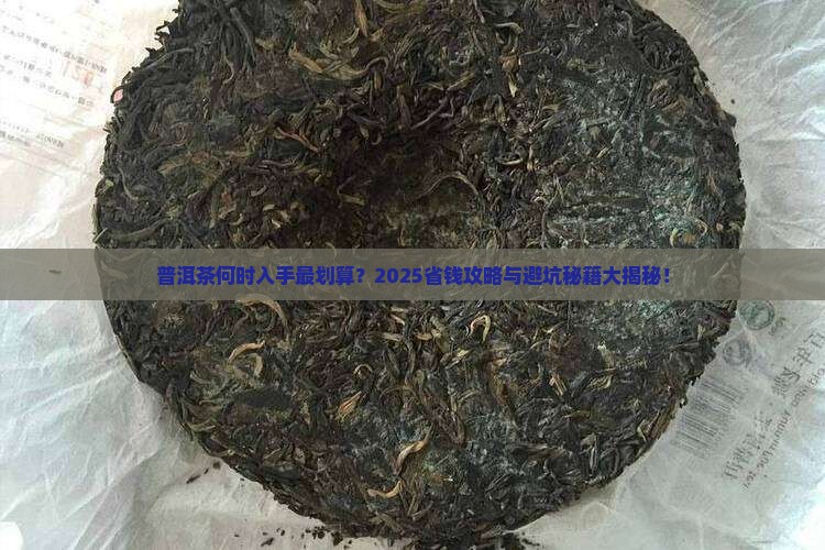 普洱茶什么时候采购买