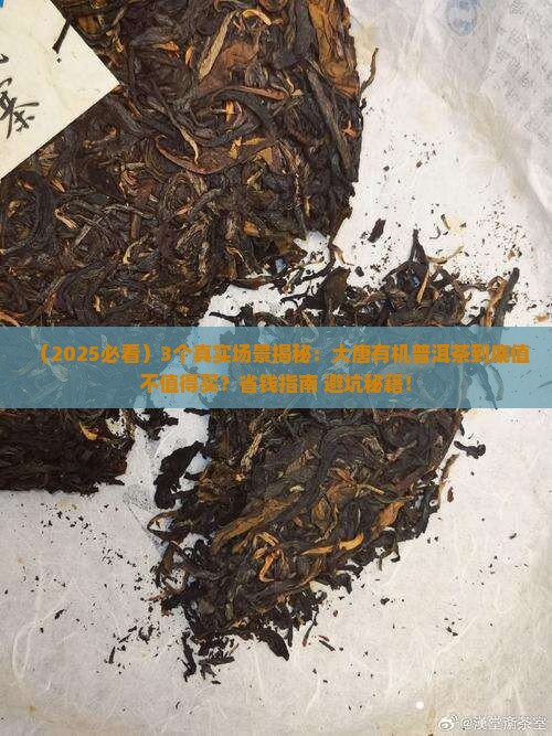 大唐有机普洱茶