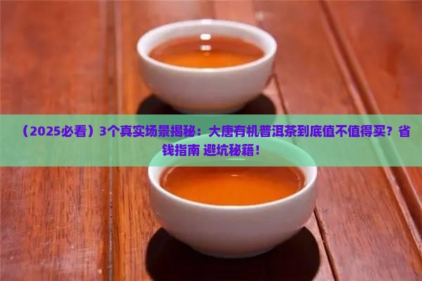 大唐有机普洱茶
